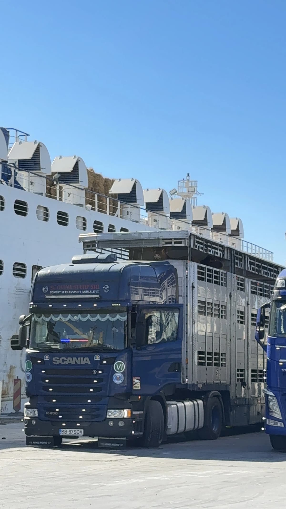 Livestock transport